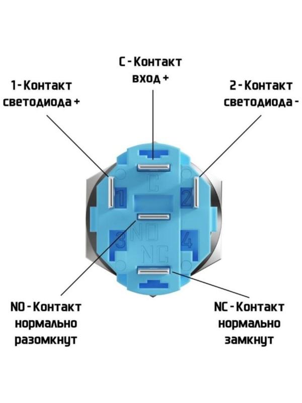 Выключатель, 12 В, 3 А, 5 pin, IP67, d 16мм, провод 15 см, белый