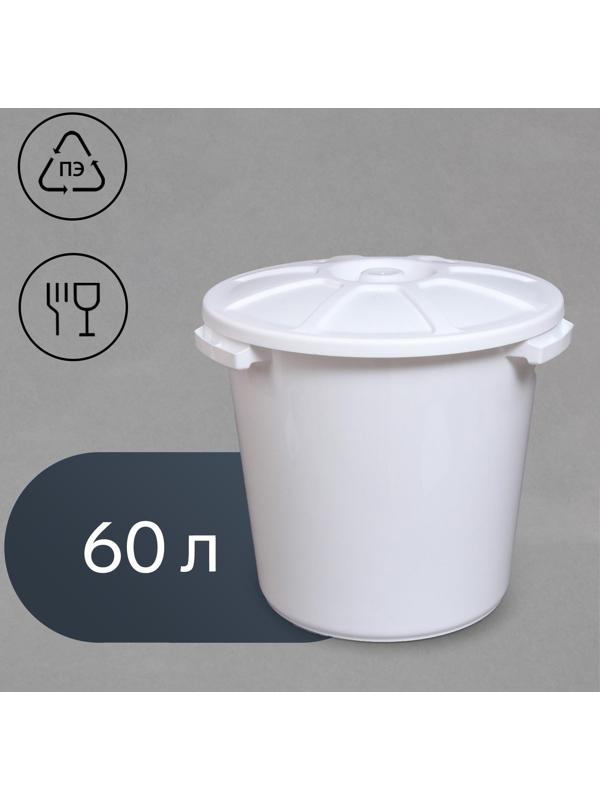 Бак пищевой, 60 л, с крышкой, МИКС