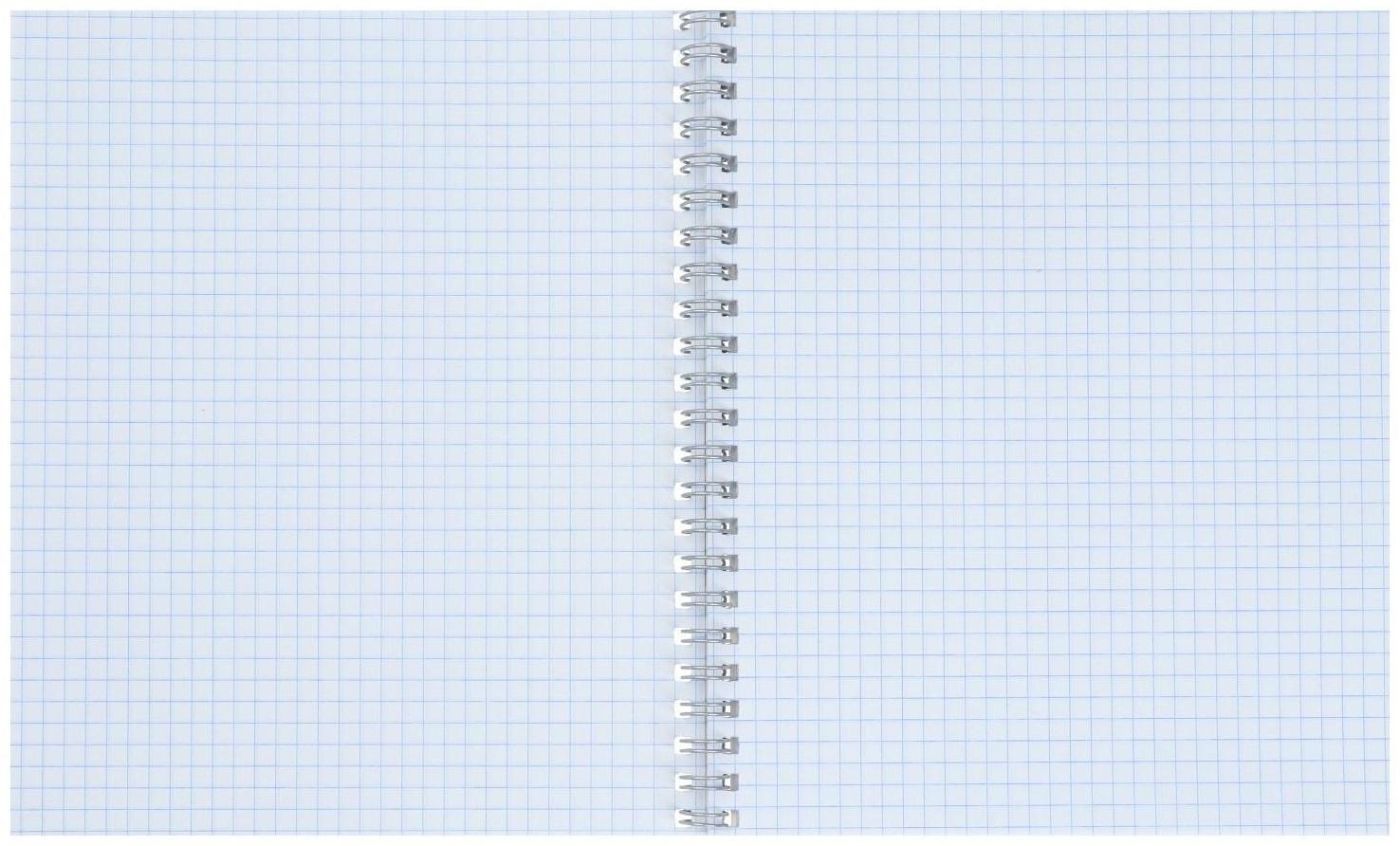 Тетрадь 48 листов в клетку на гребне Calligrata 