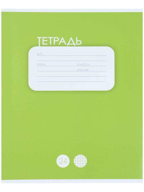 Тетрадь 24 листа в клетку Calligrata 