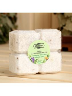 Набор соляных брикетов 4 шт 