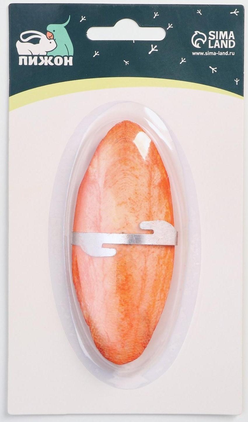 Панцирь каракатицы для птиц 