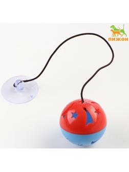 Шарик для кошек на присоске с бубенчиком 