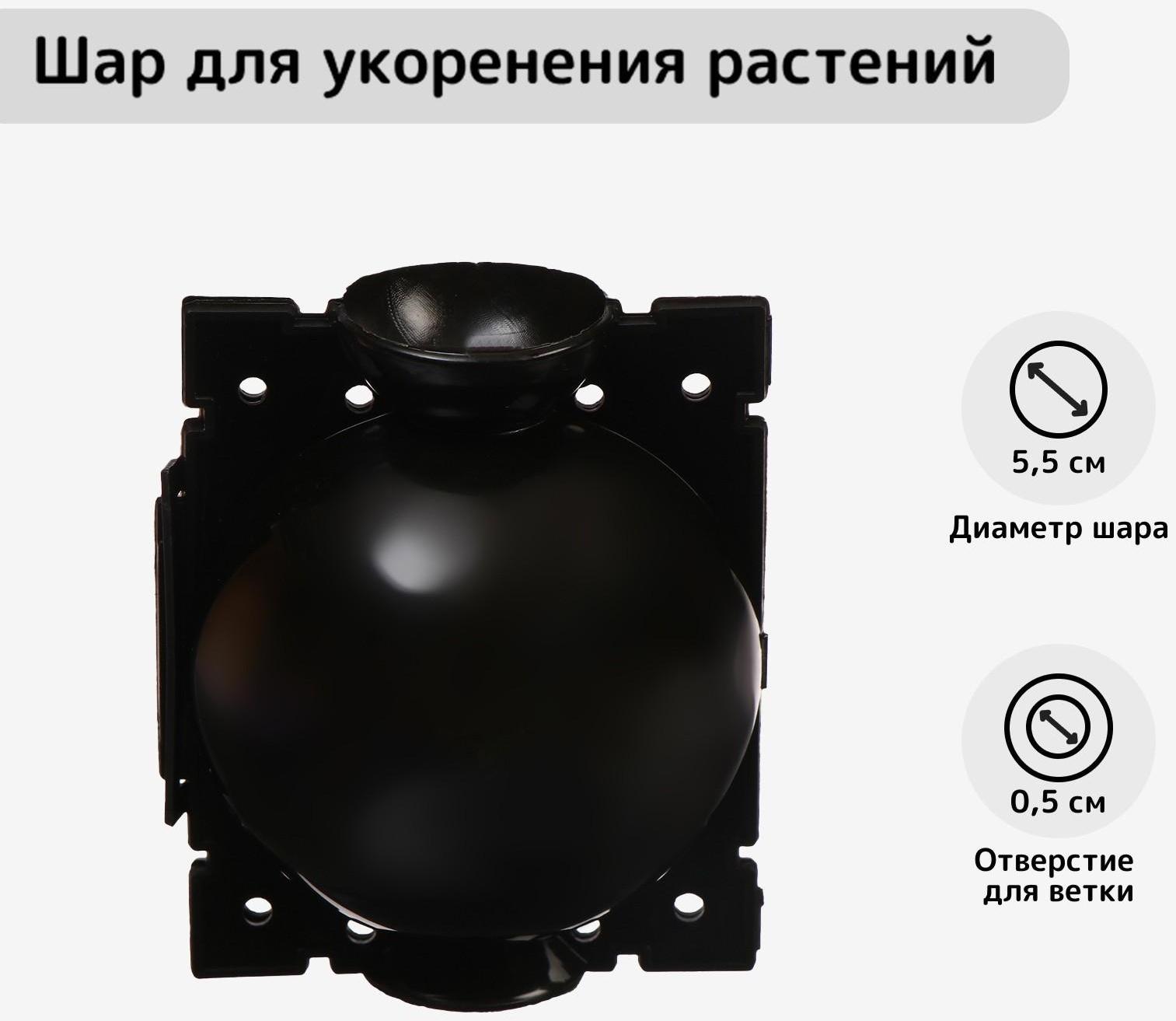 Шар для укоренения растений, d = 5,5 см, под ветку 0,5 см, чёрный