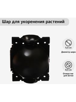 Шар для укоренения растений, d = 5,5 см, под ветку 0,5 см, чёрный