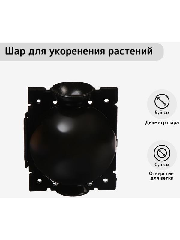 Шар для укоренения растений, d = 5,5 см, под ветку 0,5 см, чёрный