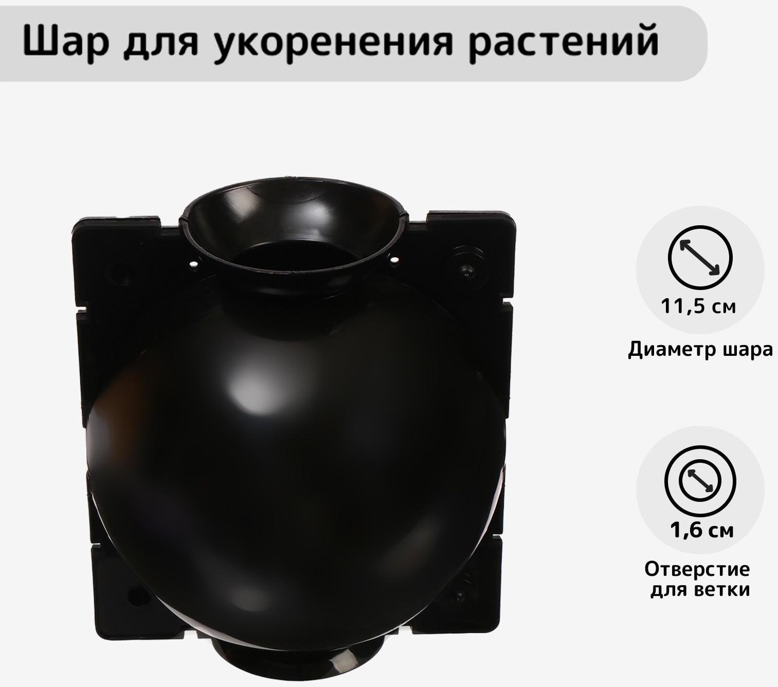 Шар для укоренения растений, d = 11,5 см, под ветку 1,6 см, чёрный