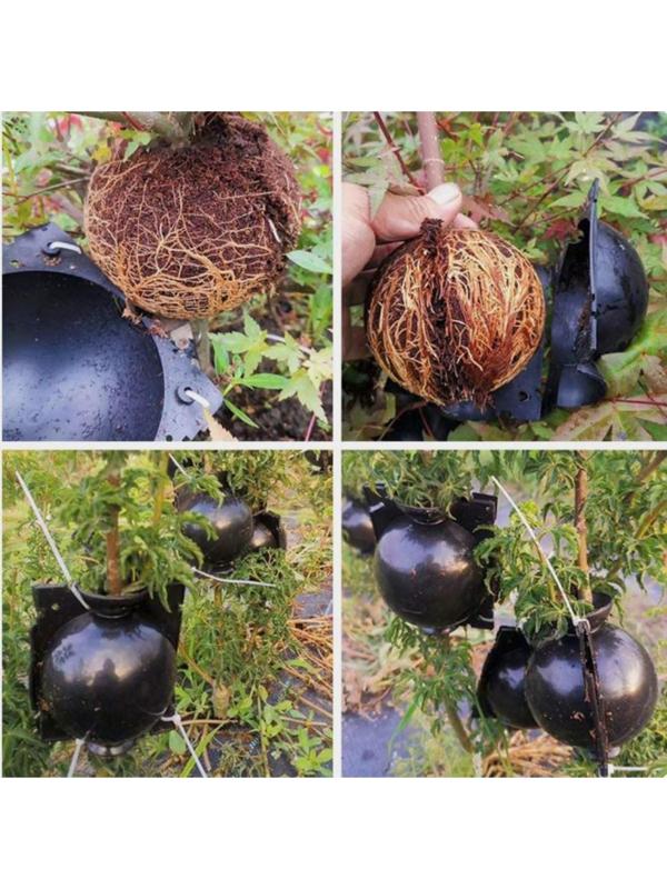 Шар для укоренения растений, d = 11,5 см, под ветку 1,6 см, чёрный