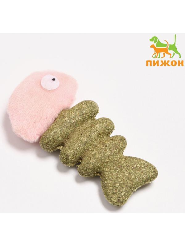 Игрушка для кошек из прессованной кошачьей мяты 