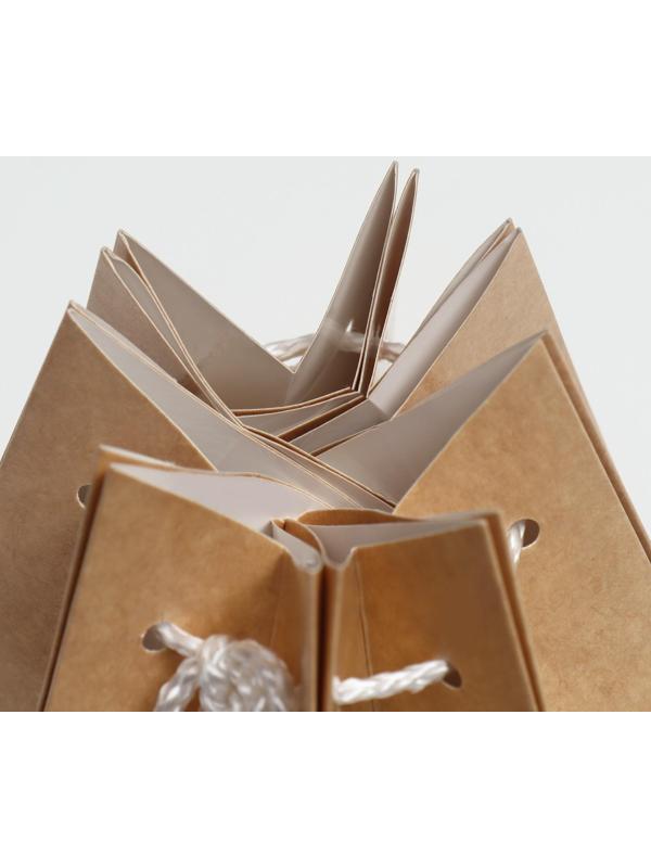 Аквабокс, крафт, 16 х 16 см