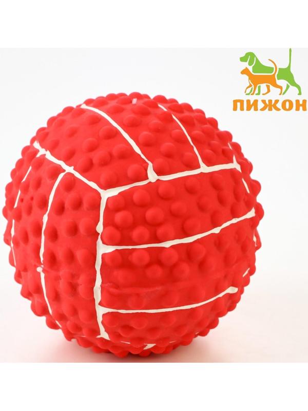 Игрушка пищащая для собак из латекса 