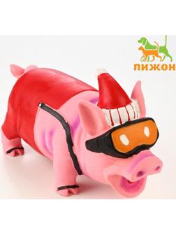 Игрушка хрюкающая для собак из латекса 