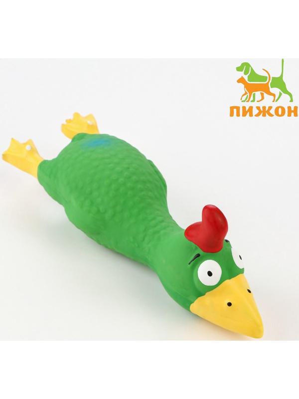 Игрушка пищащая для собак из латекса 