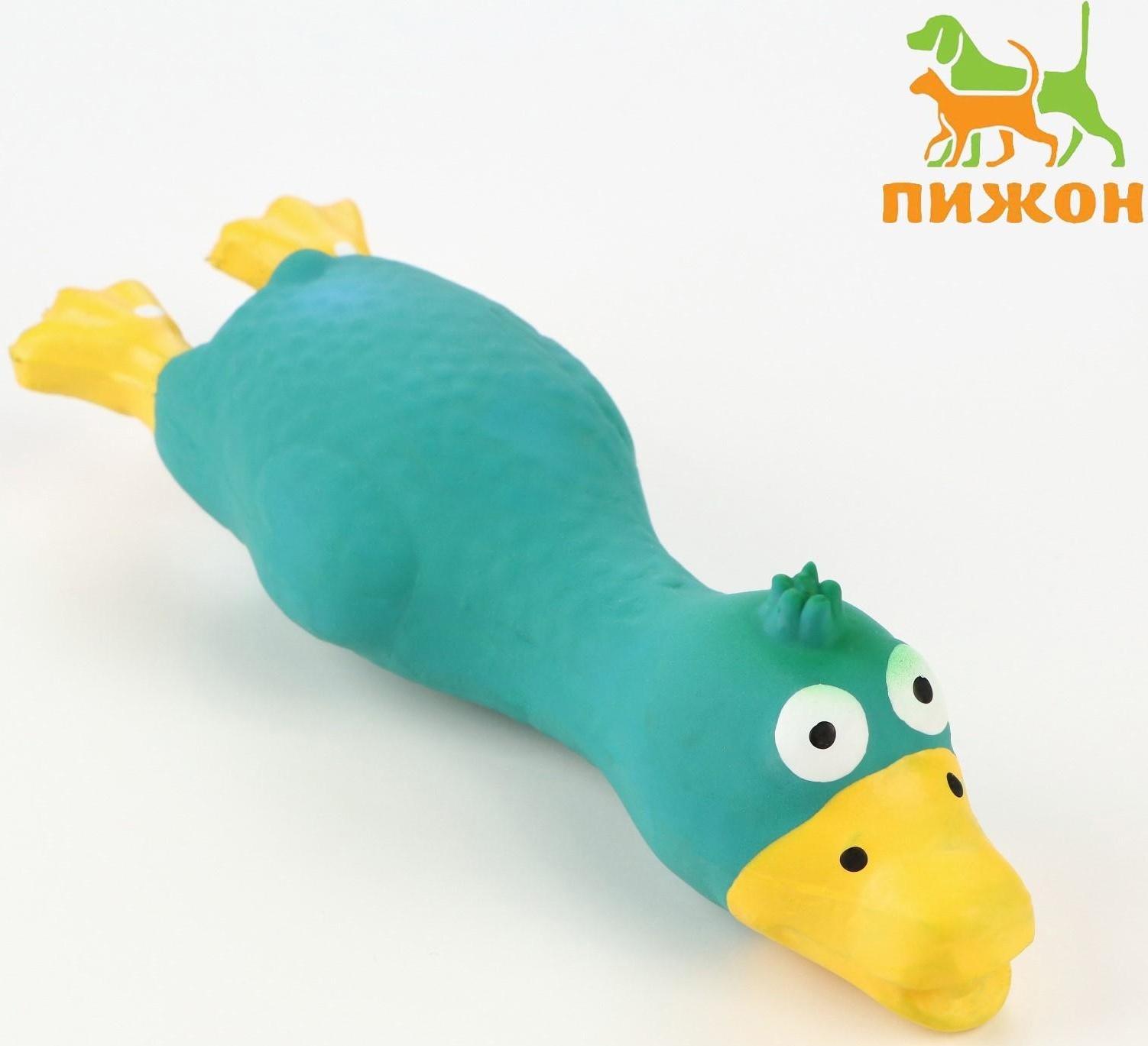 Игрушка пищащая для собак из латекса 