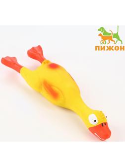 Игрушка пищащая для собак из латекса 