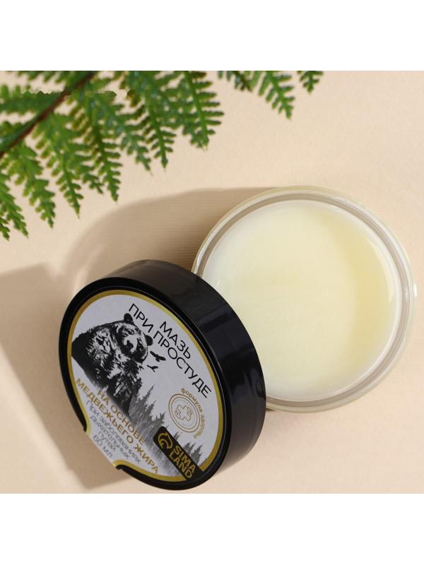 Мазь на основе медвежьего жира, 60 мл, при простуде и воспалении суставов