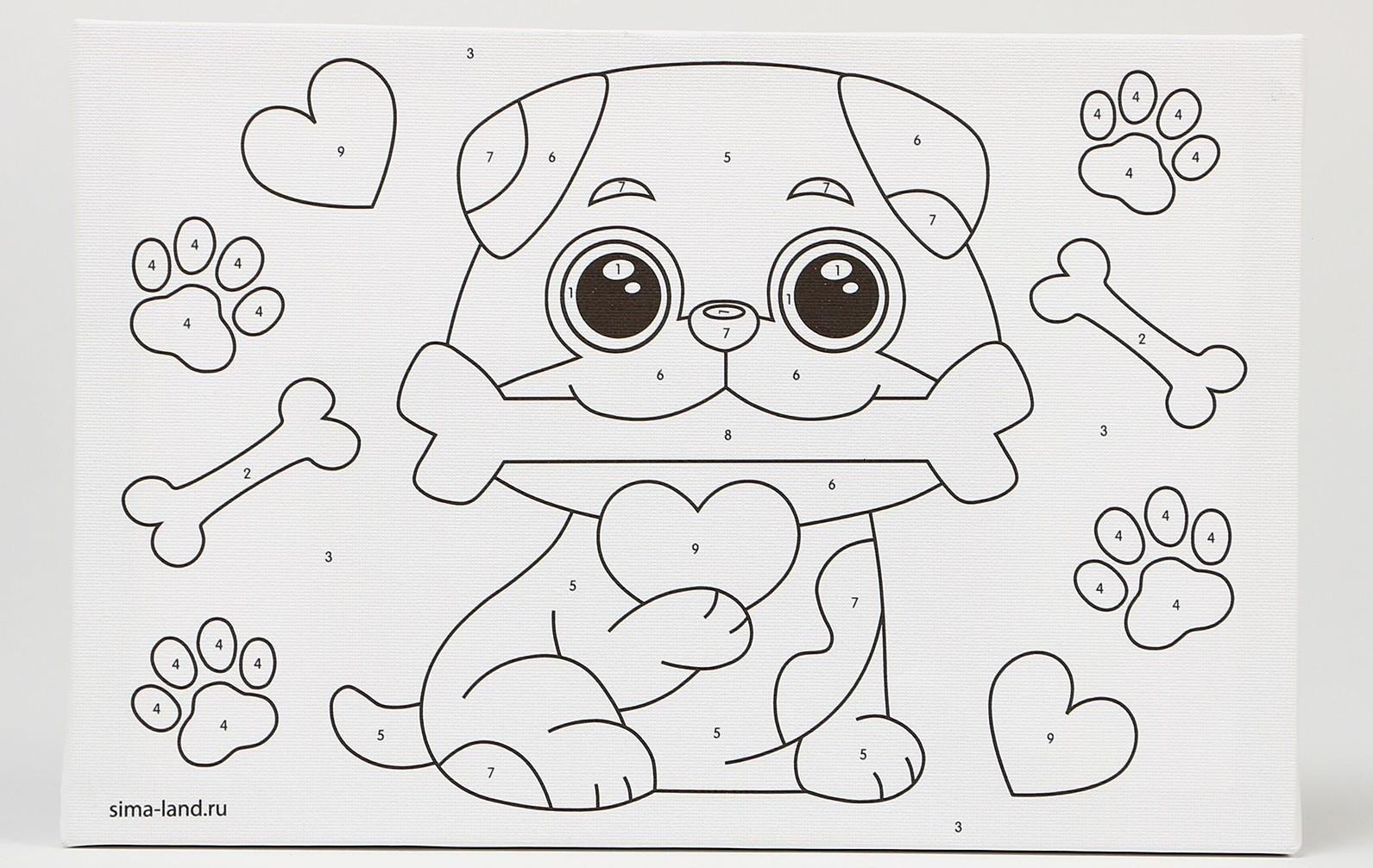 Картина по номерам «Щеночек с косточкой», 20х30 см