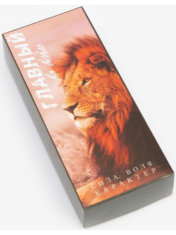 Набор мужских носков KAFTAN 