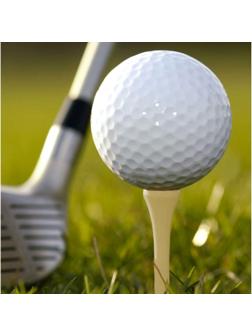 Набор подставок для гольф мяча из дерева, h-8.3 см, 10 шт