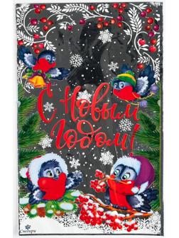 Пакет подарочный 