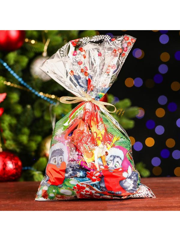 Пакет подарочный 