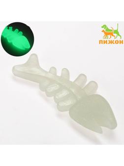 Игрушка для собак 