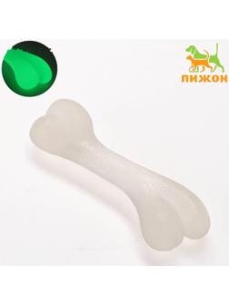 Игрушка для собак 