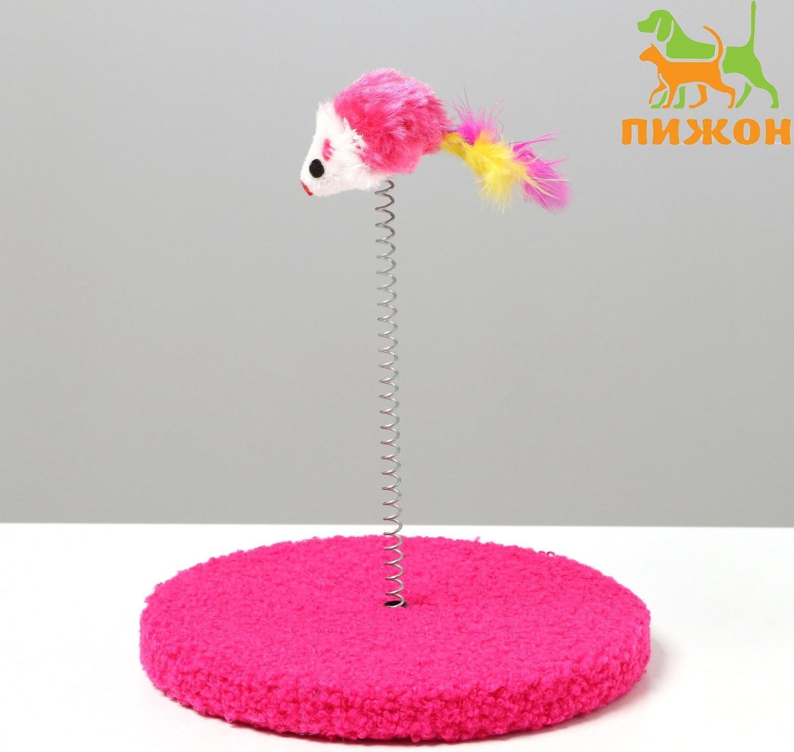 Дразнилка на основании 