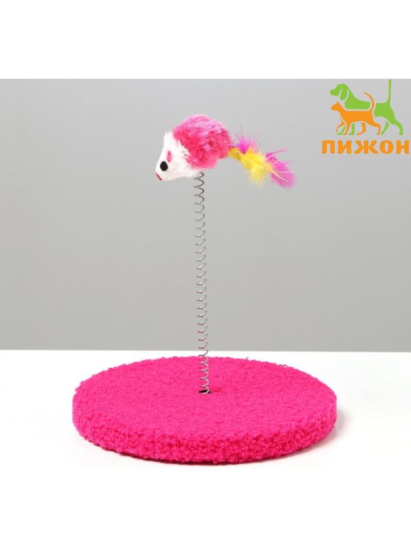 Дразнилка на основании 