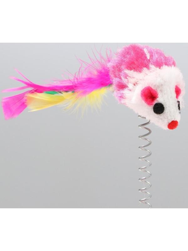 Дразнилка на основании 