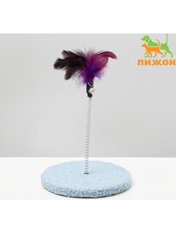 Дразнилка на основании 