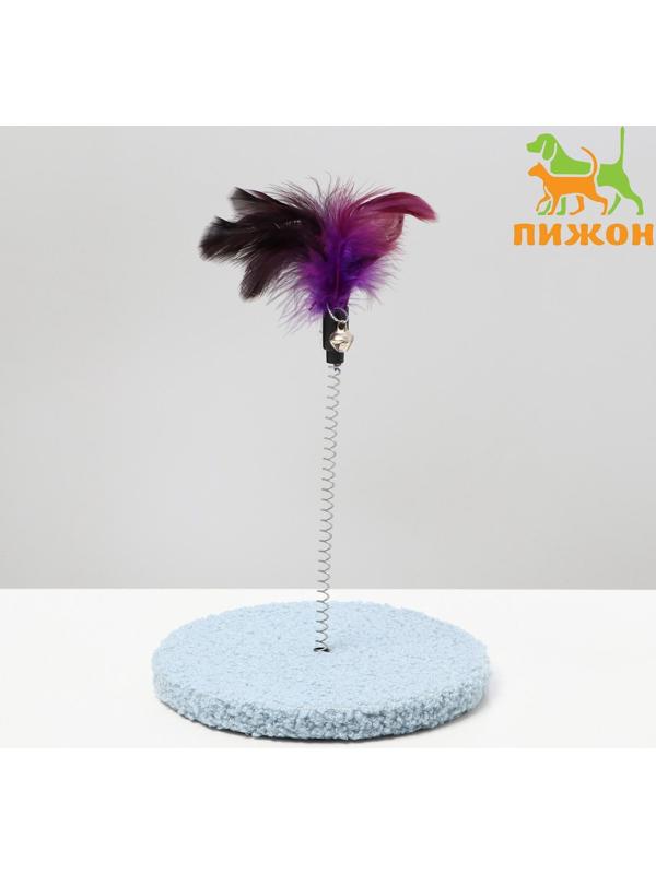 Дразнилка на основании 