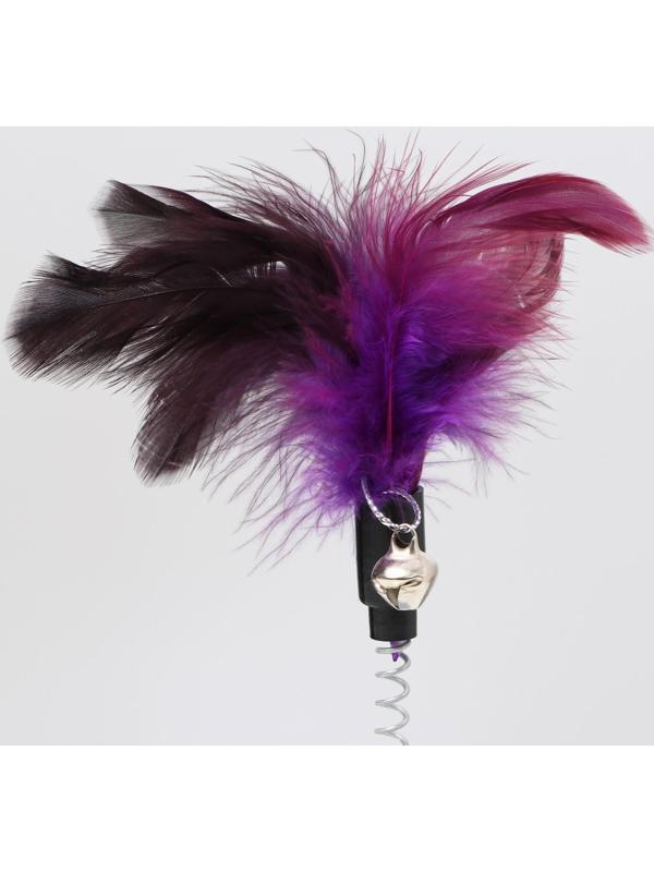 Дразнилка на основании 