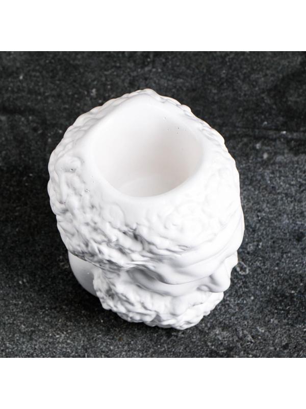 Кашпо - органайзер 