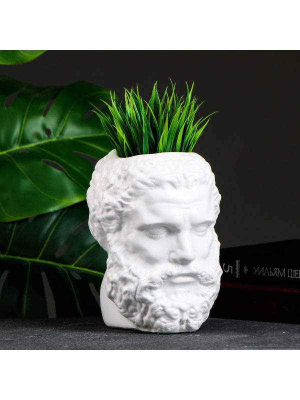 Кашпо - органайзер 