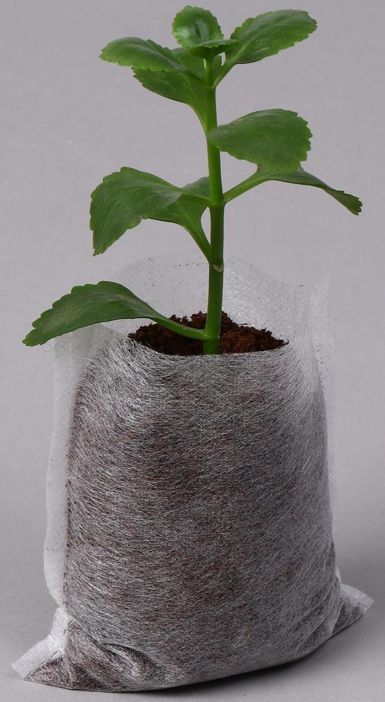 Пакет для рассады, 360 мл, 7 × 9,5 см, спанбонд плотностью 25 г/м², Greengo