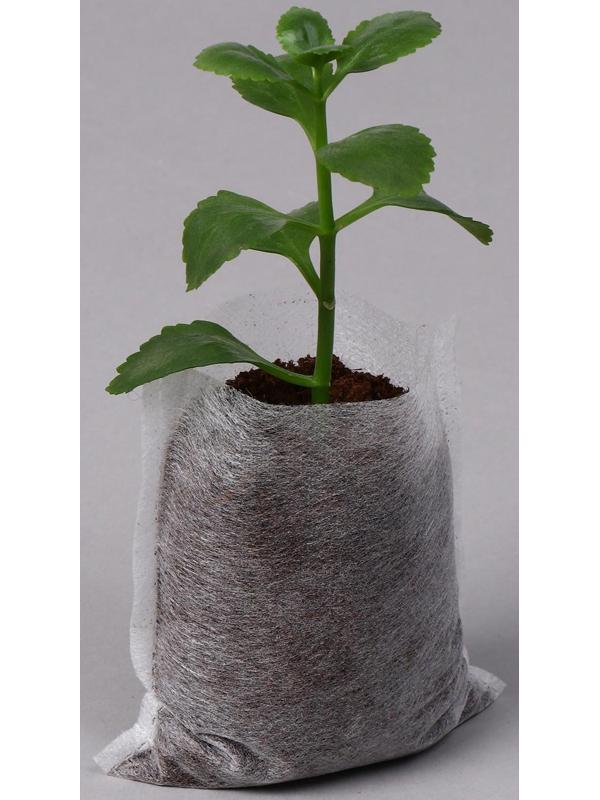 Пакет для рассады, 360 мл, 7 × 9,5 см, спанбонд плотностью 25 г/м², Greengo