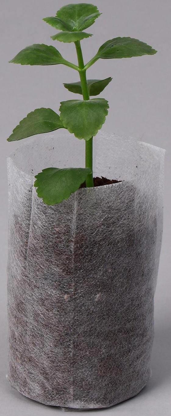 Пакет для рассады, 540 мл, 8,9 × 14,5 см, спанбонд плотностью 25 г/м², Greengo