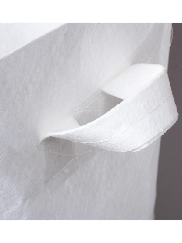 Контейнер с ручками, 22 л, 31 × 29 см, плотность 130 г/м², Greengo