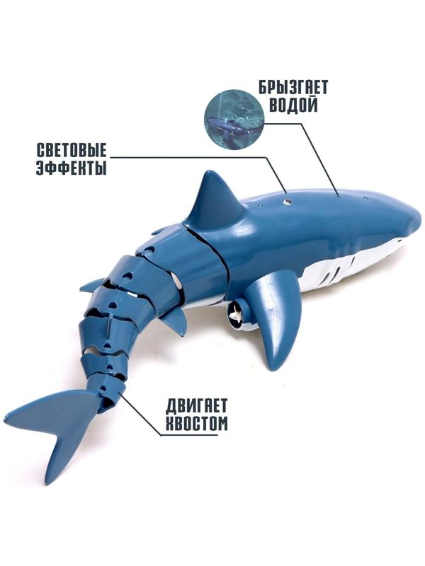 Акула радиоуправляемая «Белая», плавает, брызгает водой, работает от аккумулятора, цвет синий