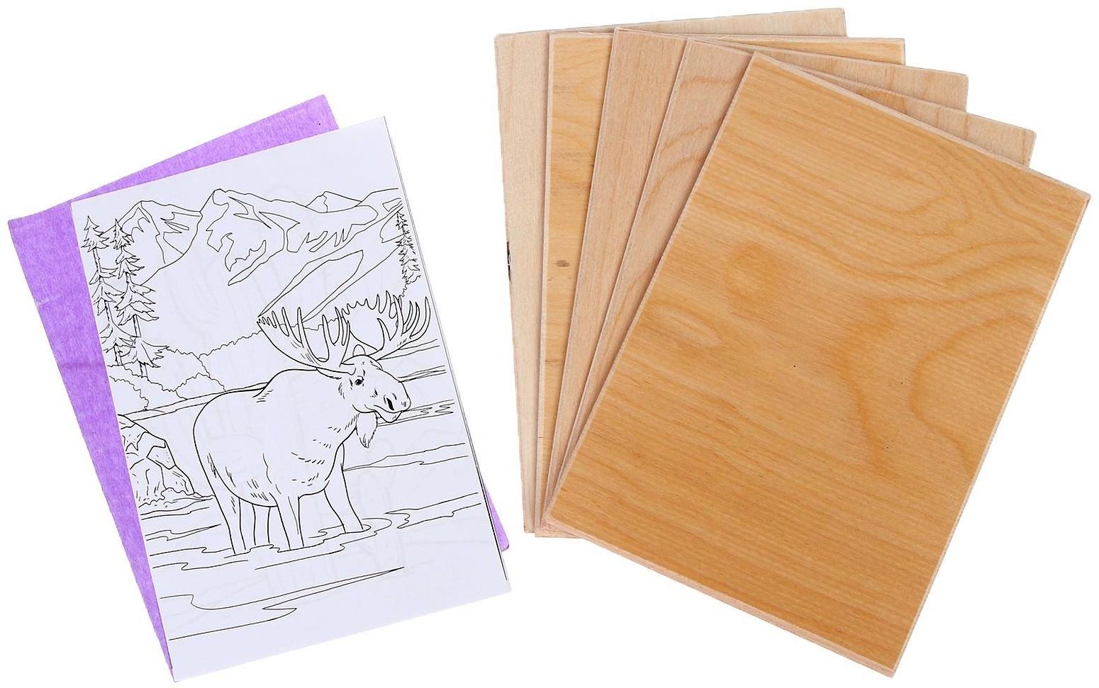 Набор для выжигания по дереву «Профи»