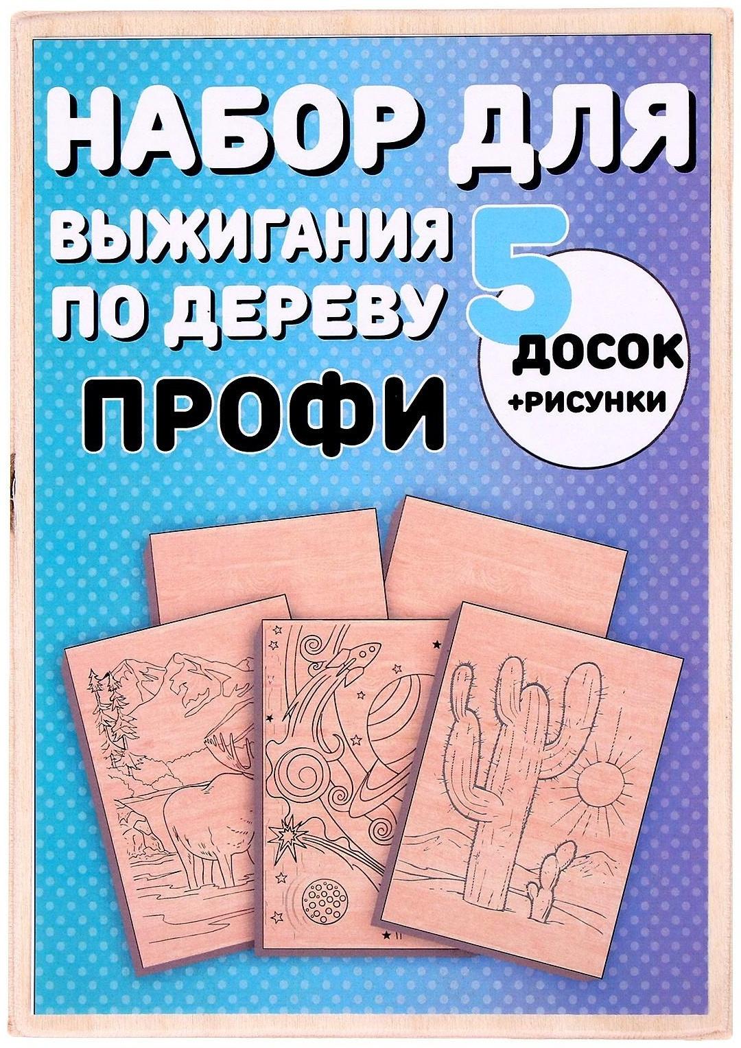 Набор для выжигания по дереву «Профи»