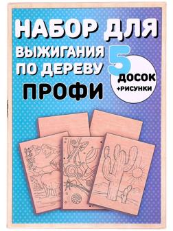 Набор для выжигания по дереву «Профи»