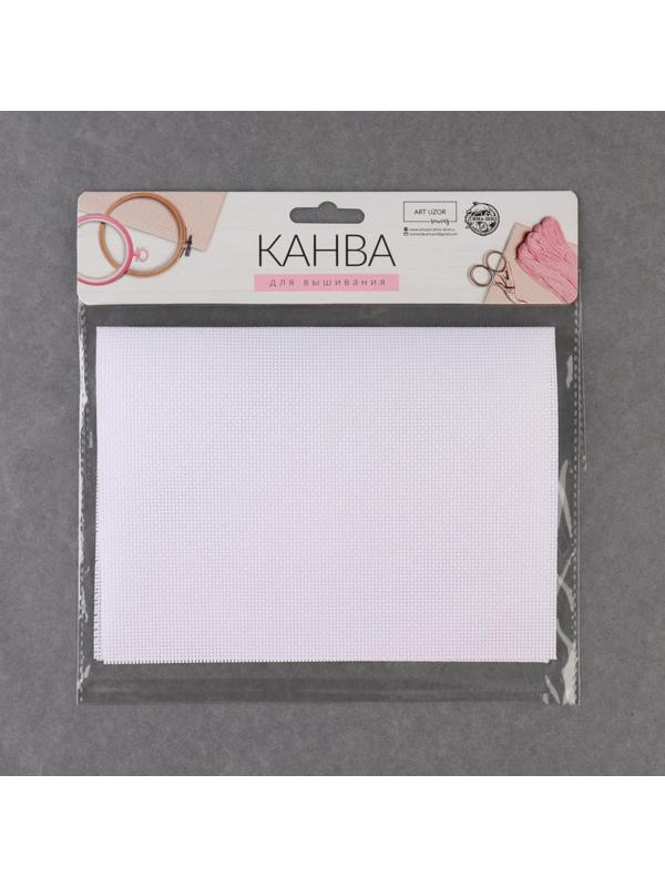 Канва для вышивания №16, 30 × 20 см, цвет белый
