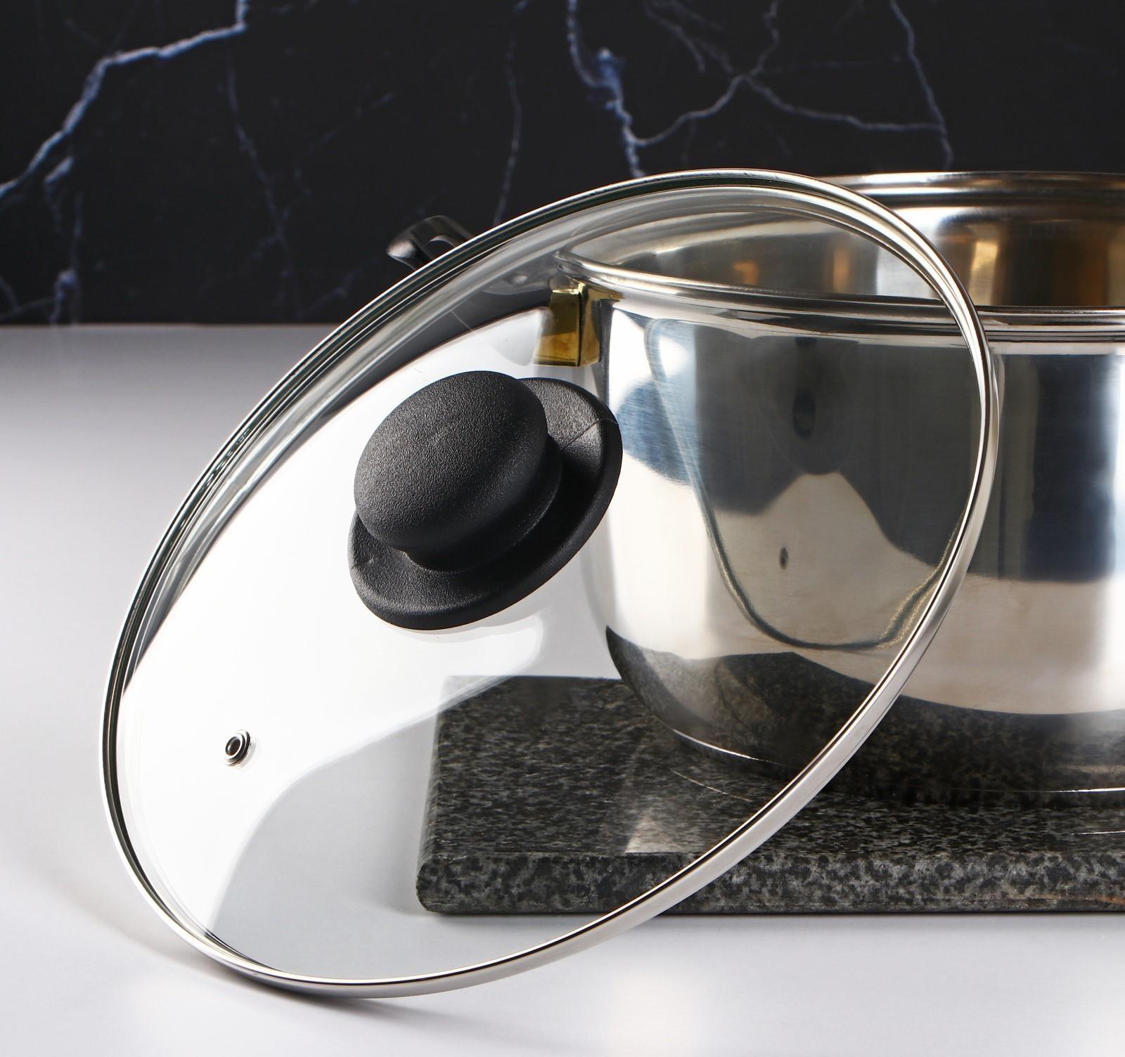 Крышка стеклянная для сковороды и кастрюли «Доляна», d=24 см, нержавеющий обод, пластиковая ручка