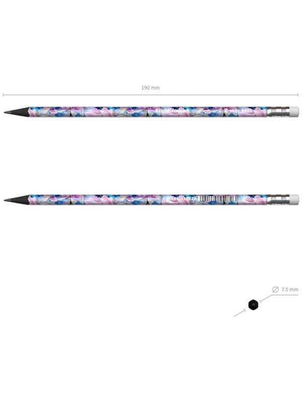 Карандаш чернографитный с ластиком ErichKrause Flower, HB, грифель d= 2.2 мм, трёхгранный, корпус из биоразлагаемого пластика
