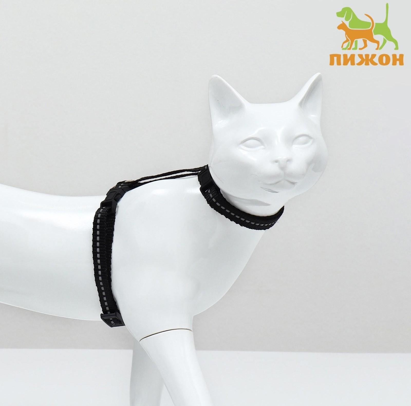 Шлейка для кошек, ширина 1 см, светоотражающий, ОШ 16,5-27 см, ОГ 21-35 см, чёрный