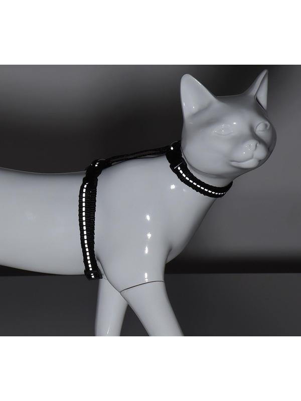 Шлейка для кошек, ширина 1 см, светоотражающий, ОШ 16,5-27 см, ОГ 21-35 см, чёрный