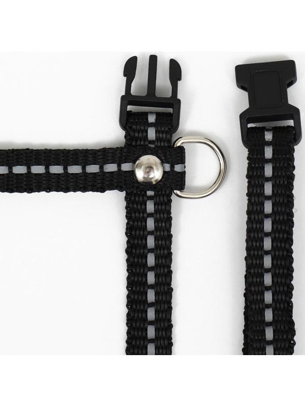 Шлейка для кошек, ширина 1 см, светоотражающий, ОШ 16,5-27 см, ОГ 21-35 см, чёрный