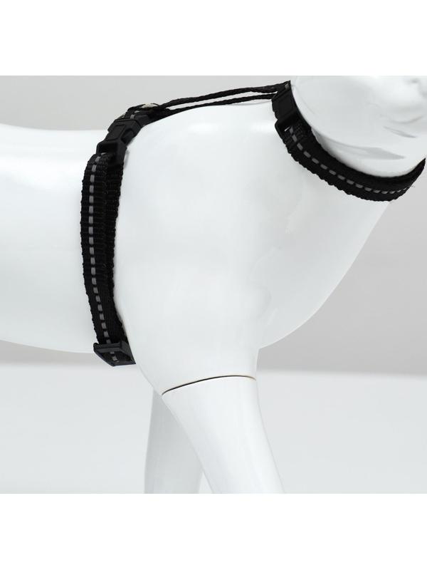 Шлейка для кошек, ширина 1 см, светоотражающий, ОШ 16,5-27 см, ОГ 21-35 см, чёрный